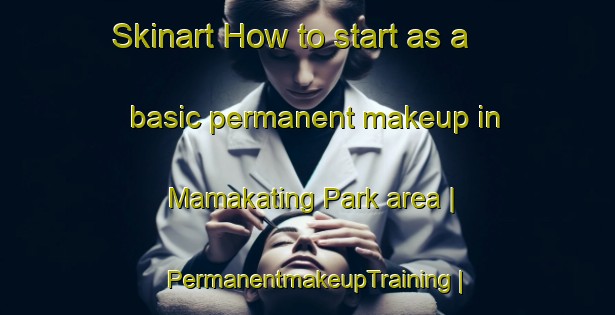 Skinart How to start as a basic permanent makeup in Mamakating Park area | PermanentmakeupTraining | PermanentmakeupClasses | SkinartTraining-United States
